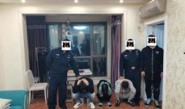 盒饭爆料人被抓了吗视频,揭秘网络舆论背后的法律边界