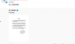 吃瓜爆料陈女士视频,揭秘娱乐圈惊人内幕