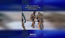 俄国间谍爆料视频大全集,俄国间谍爆料视频大全集深度解析