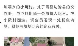 天津美妆博主被爆料视频,天津美妆博主爆料视频引发热议