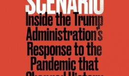 爆料新冠美国记者视频,揭露疫情真相的勇敢瞬间