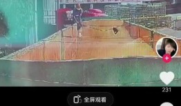 啤酒门视频在线观看,视频在线观看，真相大白