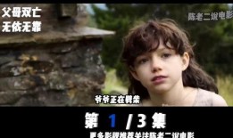 电影清洗在线观看,在线观看，揭秘暗流涌动的都市风云