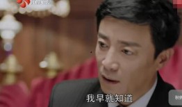 王海爆料任嘉伦视频播放,揭秘娱乐圈幕后真相
