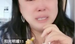 小菲菲前夫爆料视频,揭秘婚姻内幕与惊人真相