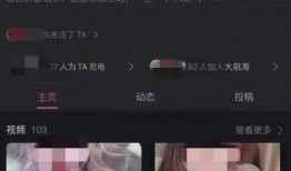 大瓜爆料解说视频大全,揭秘娱乐圈幕后真相