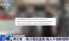 爆料新冠美国记者视频,揭露疫情真相的勇敢瞬间