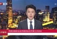 北京新闻在线直播观看,实时捕捉首都动态，尽览城市脉搏