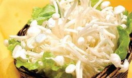 金针菇今日爆料最新视频,幕后故事与精彩瞬间