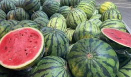 网红小雨吃大瓜图片大全,盘点那些令人捧腹的搞笑瞬间