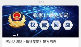 河北爆料最新消息视频大全,最新视频大全精彩回顾