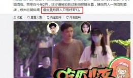 今日娱乐爆料金世佳,今日娱乐爆料揭秘幕后故事