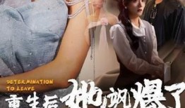 枫丹爆料剧情介绍视频,揭秘神秘剧情背后的奇幻世界