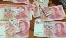 舞帝二哈爆料视频大全,揭秘幕后故事与精彩瞬间