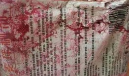 舞帝二哈爆料视频大全,揭秘幕后故事与精彩瞬间