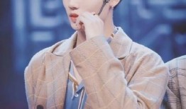 直播爆料林彦俊事件视频,真相揭秘与舆论风波