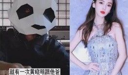 刘大锤爆料杨颖视频大全,揭秘娱乐圈背后的秘密