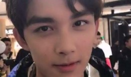 直播爆料吴磊事件视频,揭秘背后真相与争议