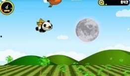 熊猫飞飞爆料最新