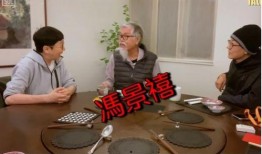 智敏饭局爆料视频大全,揭秘娱乐圈幕后真相