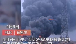 四会最近爆料事件视频曝光,惊人真相揭露！