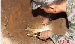 海南工地爆料事件始末视频