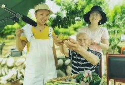 爆料奶奶做饭视频,温馨厨房里的美味瞬间