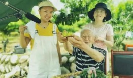 爆料奶奶做饭视频,温馨厨房里的美味瞬间