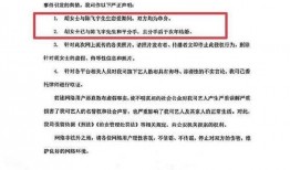 陈飞爆料视频大全最新,揭秘娱乐圈不为人知的一面