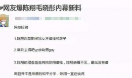 陈翔粉丝脱粉爆料视频,揭秘偶像与粉丝的裂痕