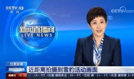 九江电视台爆料新闻直播,重大新闻事件引发社会关注