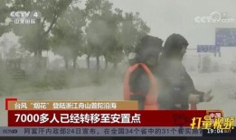 浙江新闻热点爆料事件,揭秘XX事件背后的真相与影响