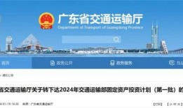 电白新闻爆料3月5号,揭秘重大事件背后的真相