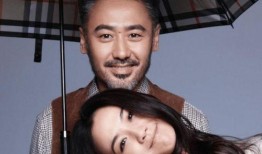 娱乐圈大叔爆料小说