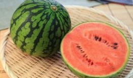 免费吃瓜905215,905215背后的故事