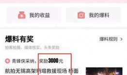 今日头条美人鱼爆料,揭秘娱乐圈背后的惊人真相！