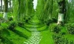 风景最新爆料图片大全高清,最新爆料高清风景图片大盘点