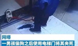 小男孩被爆料视频大全下载,真相与争议并存