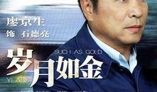 岁月如金电视剧在线观看,重温经典，共鉴人生百态