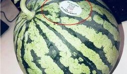 邳州网红吃瓜,揭秘网络红人的幕后真相