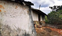 山村古宅在线观看,穿越时空的神秘之旅