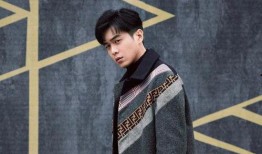 张若昀新游记爆料视频,穿越时空的奇幻之旅