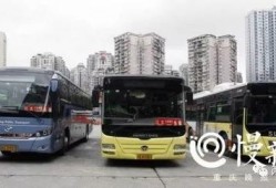重庆公交圈内人爆料视频,揭秘公交运营背后的故事