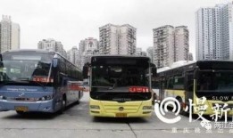 重庆公交圈内人爆料视频,揭秘公交运营背后的故事