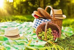 野餐兔网红吃瓜视频