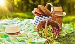 野餐兔网红吃瓜视频