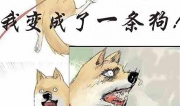 影子吃瓜小说免费阅读,免费畅读悬疑小说，揭开神秘面纱