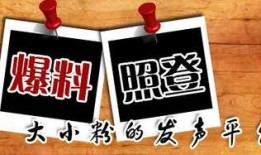 江苏爆料台最新新闻,聚焦民生热点，揭露社会现象
