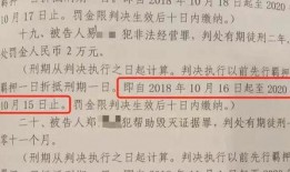 南阳爆料最新新闻视频,视频揭露惊人真相，引发社会关注