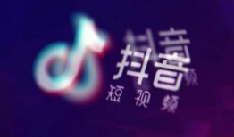 抖音网红师尊爆料视频,揭秘幕后真相